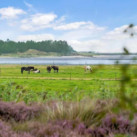 0262-romo-lyngvejen-67 Holiday home