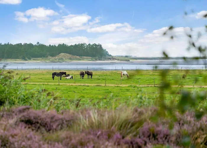 0262-romo-lyngvejen-67 Holiday home